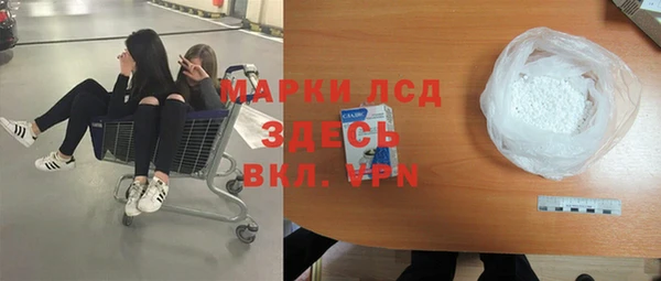 крисы Магас
