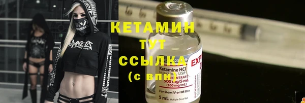 круглые Пересвет