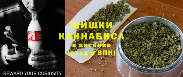 крисы Магас