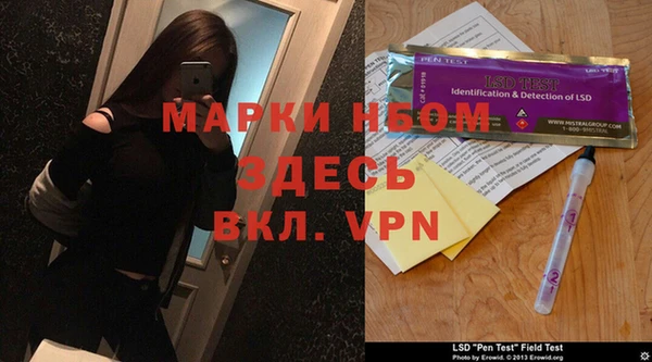 крисы Магас