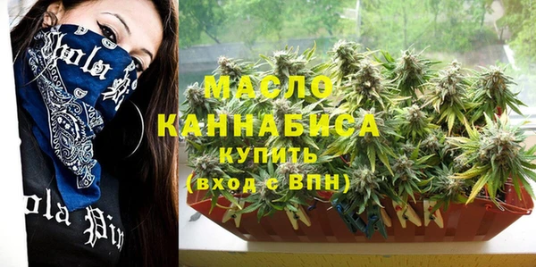 крисы Магас